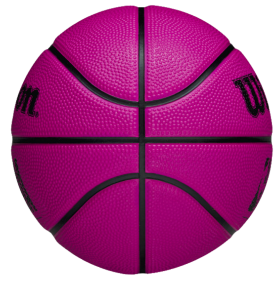 Wilson | NBA BasketBall