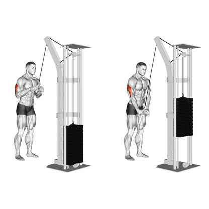 tricep handle pushdown